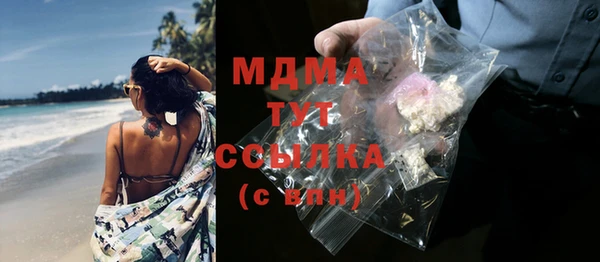 индика Михайловск