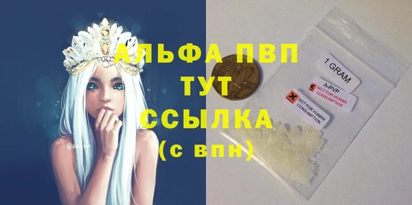 индика Михайловск