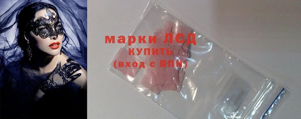 индика Михайловск