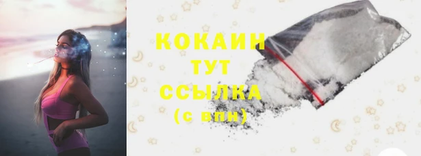 шишки Михайловка