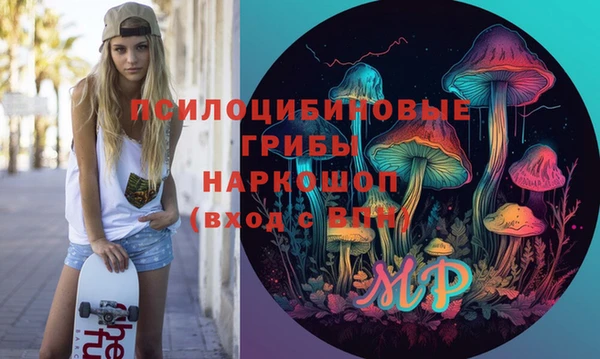 индика Михайловск