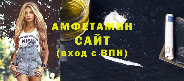 индика Михайловск