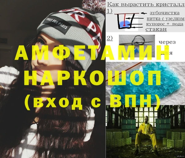 индика Михайловск