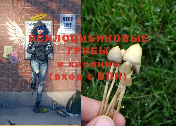 шишки Михайловка