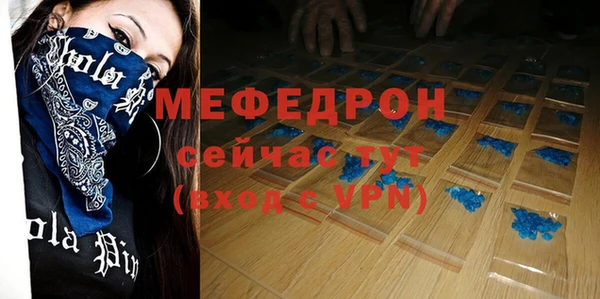 индика Михайловск