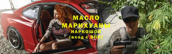 индика Михайловск