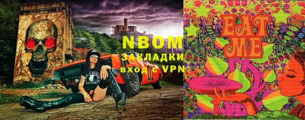 шишки Михайловка