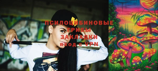 шишки Михайловка