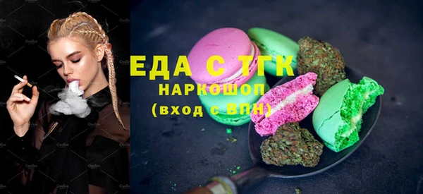 индика Михайловск