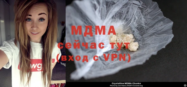 индика Михайловск