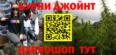 СК Дубна
