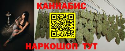 СК Дубна