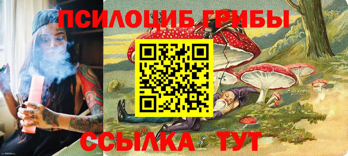 Псилоцибиновые грибы Magic Shrooms  Тольятти 