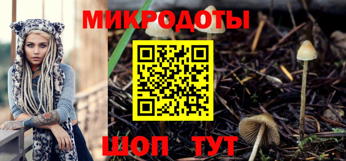 Тольятти  Галлюциногенные грибы Magic Shrooms  Вход с VPN 