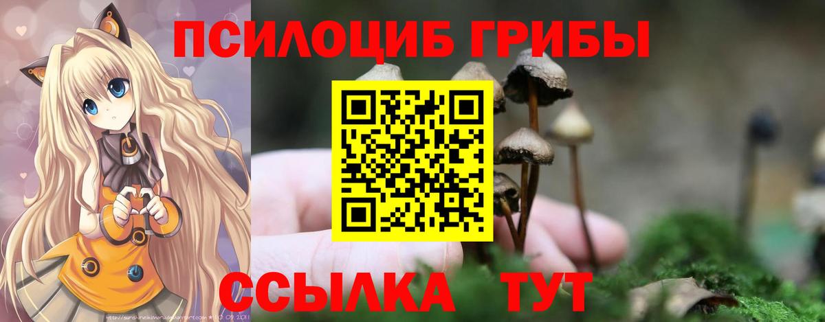 Псилоцибиновые грибы мицелий Тольятти